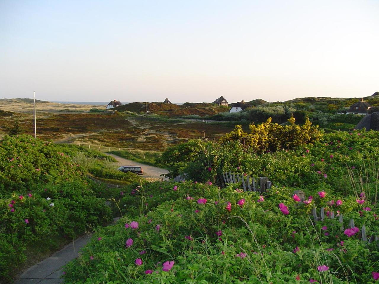 Giebelhaus Frida - Sylt, Westerland Exterior photo